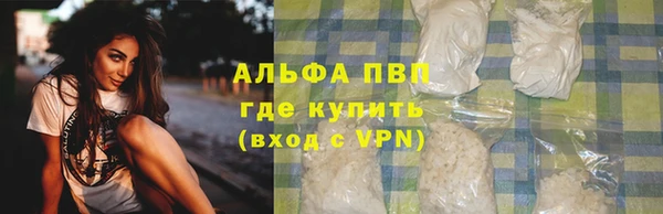 гидра Алексеевка